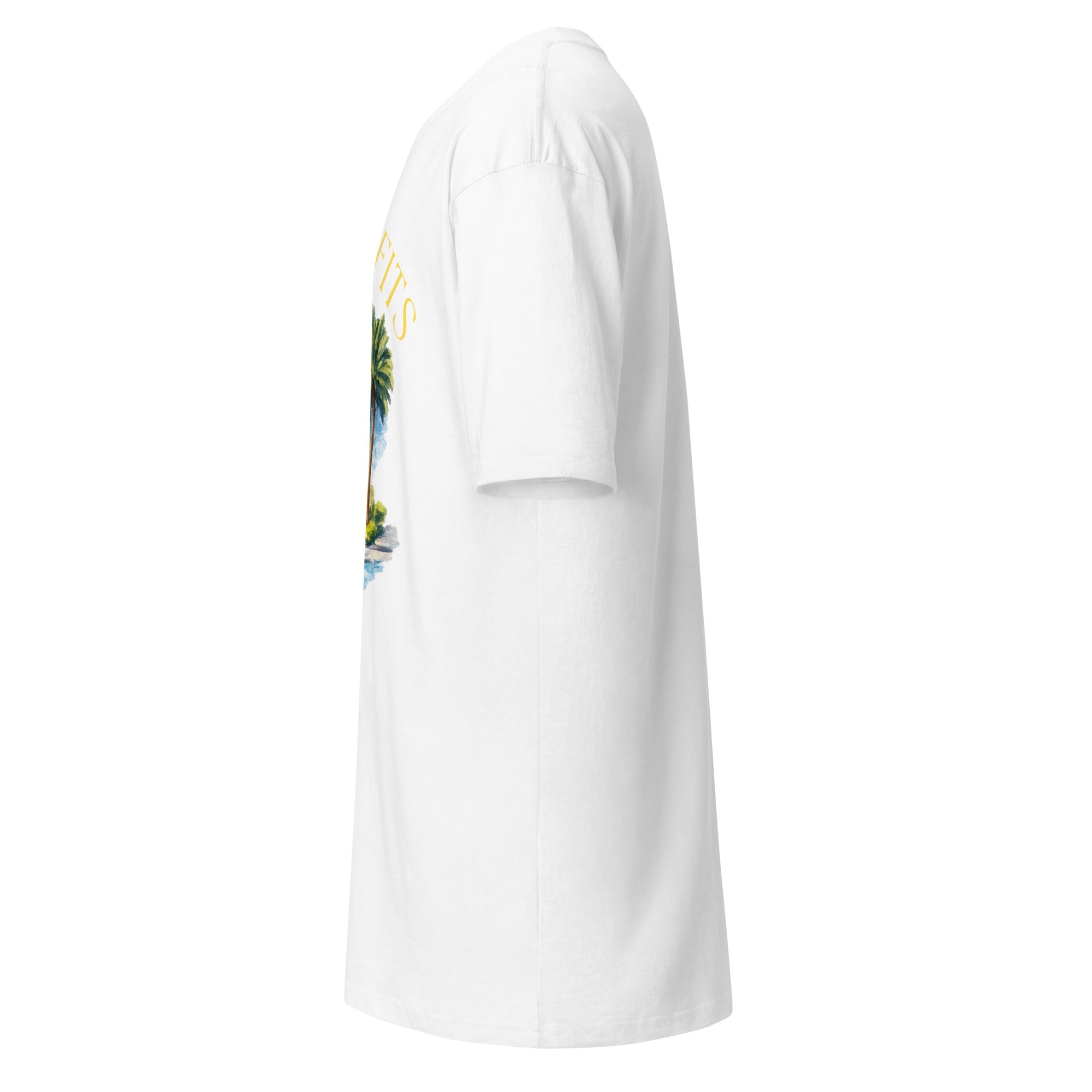 Men’s premium heavyweight tee - Classicofits