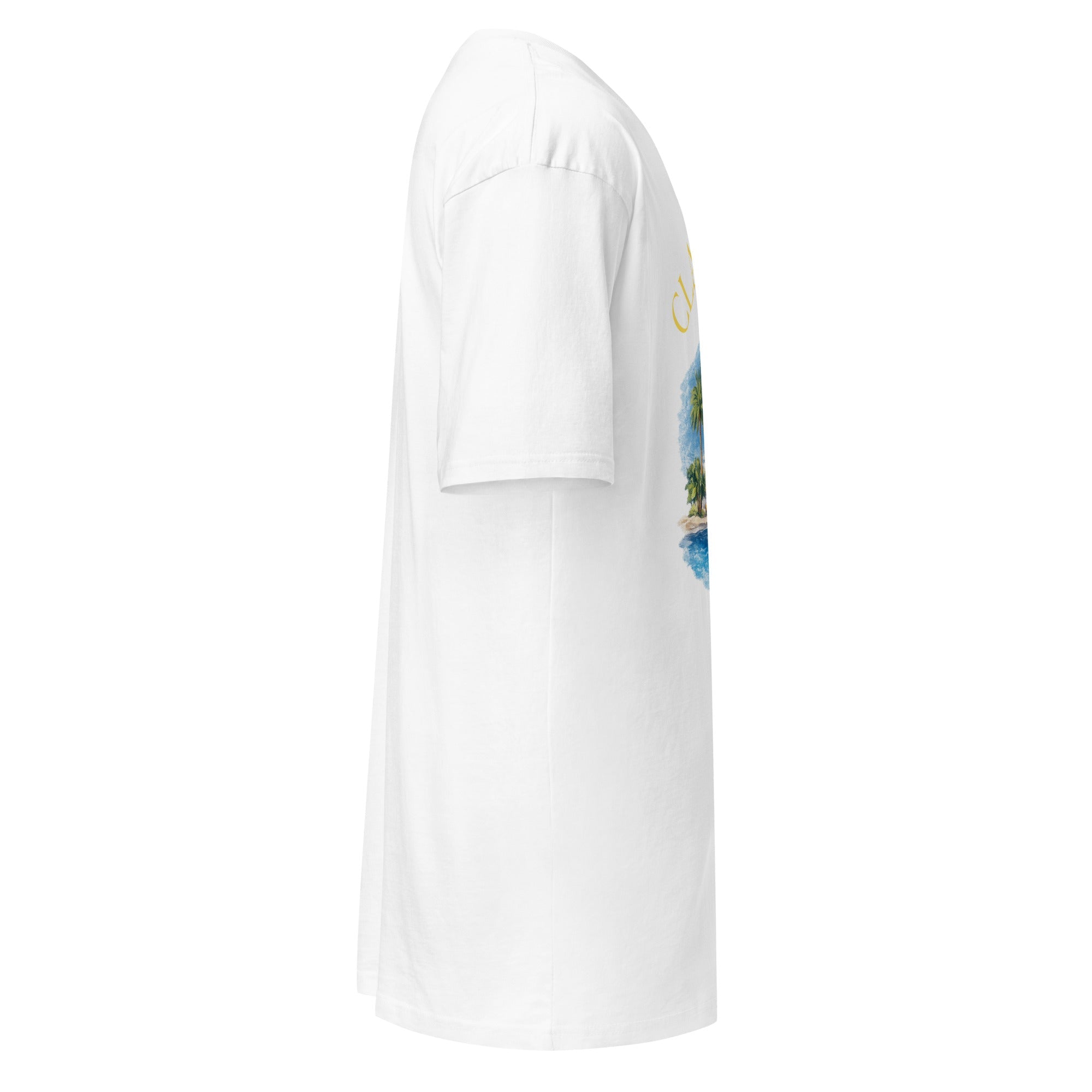 Men’s premium heavyweight tee - Classicofits